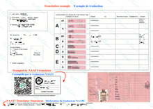 Load image into Gallery viewer, Driver License Translation (By NAATI-Certified Translator)